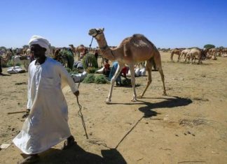 الدعم السريع تشهر سلاح الاقتصاد بعد خسائرها العسكرية الفادحة الدعم السريع تشهر سلاح الاقتصاد بعد خسائرها العسكرية الفادحة