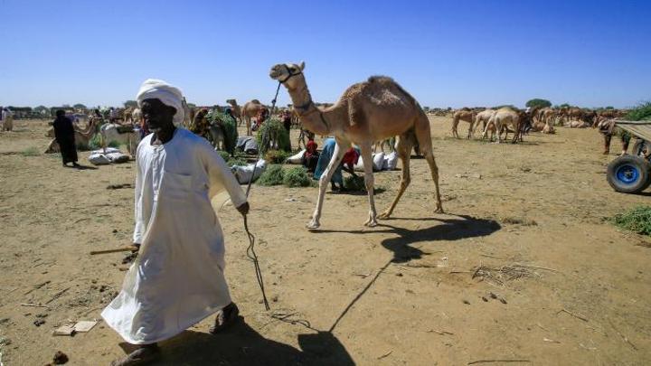 الدعم السريع تشهر سلاح الاقتصاد بعد خسائرها العسكرية الفادحة