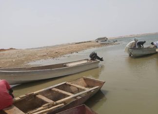 ادارة الاسماك والاحياء المائية تمنع استخدام الاقفاص للصيد في بحيرة النوبة وسد مروي ادارة الاسماك والاحياء المائية تمنع استخدام الاقفاص للصيد في بحيرة النوبة وسد مروي