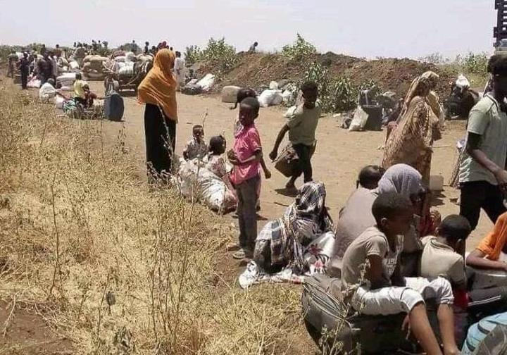 كشف تفاصيل كارثية بحملة إنتقام الدعم السريع ضد المدنيين في الجزيرة والأمم المتحدة تعلن إحصائيات جديدة “فيديو”