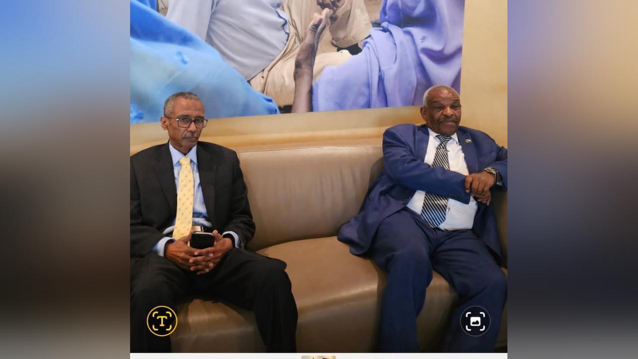 السودان يشارك بوفد رفيع فى اجتماعات مجلس ادارة منظمة العمل الدوليه بجنيف السودان يشارك بوفد رفيع فى اجتماعات مجلس ادارة منظمة العمل الدوليه بجنيف