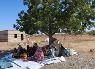 سودانيون هجرتهم “الدعم السريع” من الجزيرة: هددونا بالقتل والاغتصاب سودانيون هجرتهم "الدعم السريع" من الجزيرة: هددونا بالقتل والاغتصاب