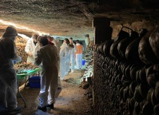 هل اقترب العلماء من حل لغز سراديب الموتى الباريسية؟ هل اقترب العلماء من حل لغز سراديب الموتى الباريسية؟
