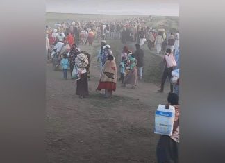 كشف تفاصيل كارثية في الجزيرة على يد قوات الدعم السريع.. 1000قتيل وإحتجاز مواطنين رهائن وتهجير قسري وحصار كشف تفاصيل كارثية في الجزيرة على يد قوات الدعم السريع.. 1000قتيل وإحتجاز مواطنين رهائن وتهجير قسري وحصار