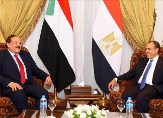 مصر والسودان: تحقيق الأمن المائي مسألة وجودية للبلدين مصر والسودان: تحقيق الأمن المائي مسألة وجودية للبلدين