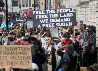 التمرّد والأحزاب وأفق الانتقال في السودان التمرّد والأحزاب وأفق الانتقال في السودان