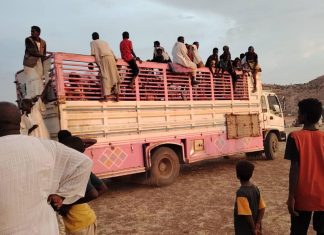 343 ألف نازح سوداني من ولاية الجزيرة و503 قتلى بالهلالية 343 ألف نازح سوداني من ولاية الجزيرة و503 قتلى بالهلالية