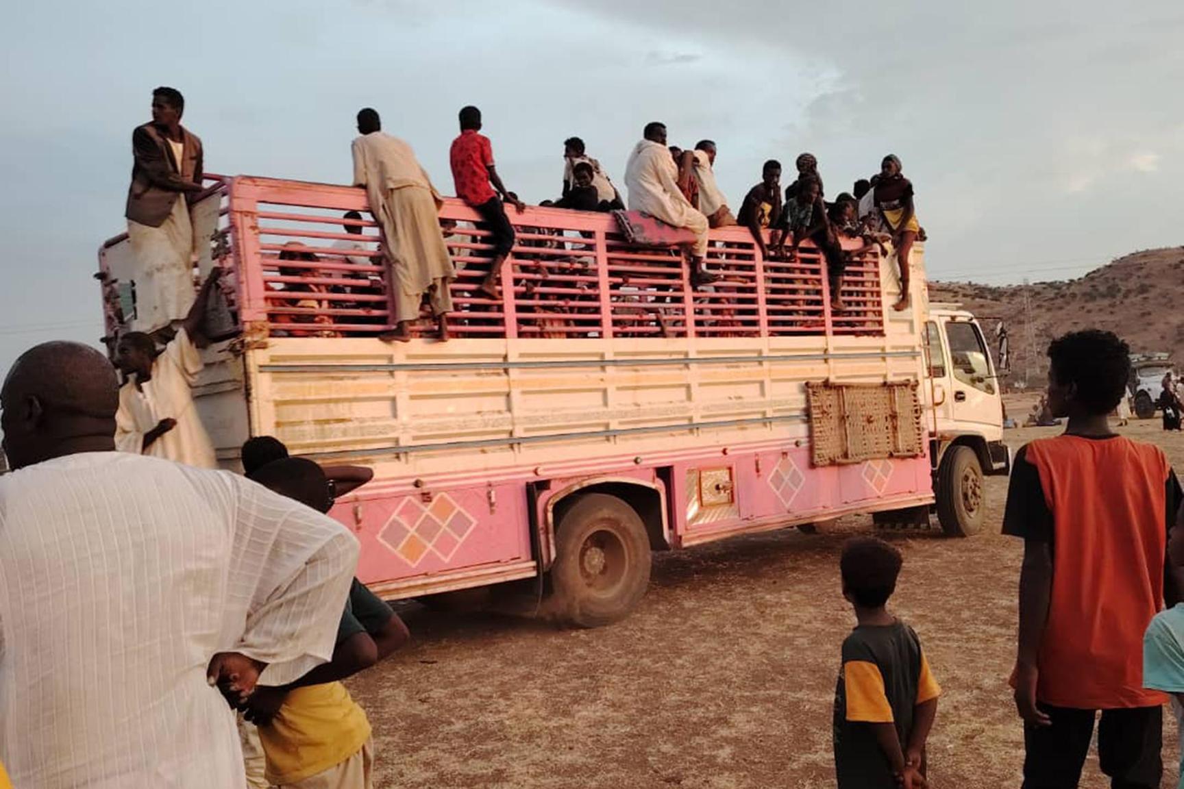 343 ألف نازح سوداني من ولاية الجزيرة و503 قتلى بالهلالية 343 ألف نازح سوداني من ولاية الجزيرة و503 قتلى بالهلالية