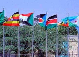 إيقاد تقترح نشر قوات في السودان قوامها 4500 عسكري إيقاد تقترح نشر قوات في السودان قوامها 4500 عسكري