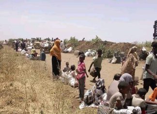 بين الهجوم والنزوح: رواية بلة علي محمد عن فظائع قوات الدعم السريع