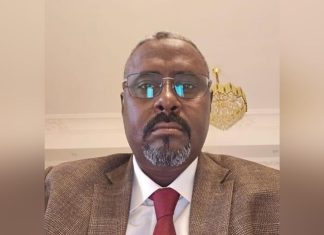 مستشار لقائد الدعم السريع يرحب بالمبادرة التركية وفق شروط محددة مستشار لقائد الدعم السريع يرحب بالمبادرة التركية وفق شروط محددة