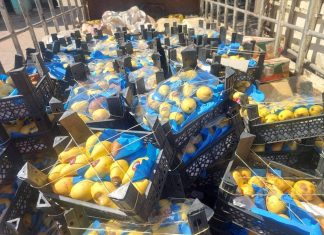 بلدية القضارف تضبط مواد غذائية منتهية الصلاحية بلدية القضارف تضبط مواد غذائية منتهية الصلاحية