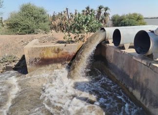 تنفيذي دنقلا يدعو المزارعين للإقبال على زراعة القمح تنفيذي دنقلا يدعو المزارعين للإقبال على زراعة القمح