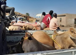 ديوان الزكاة بجنوب كردفان يسير قافلة لاسناد الجيش بالعباسية تقلي ديوان الزكاة بجنوب كردفان يسير قافلة لاسناد الجيش بالعباسية تقلي