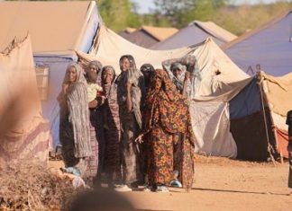 نازحو “قوز الحاج” في السودان… معاناة للنجاة من القتل نازحو "قوز الحاج" في السودان... معاناة للنجاة من القتل