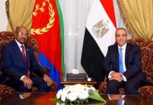 مصر وإريتريا تبحثان تعزيز الأمن والاستقرار في القرن الأفريقي مصر وإريتريا تبحثان تعزيز الأمن والاستقرار في القرن الأفريقي