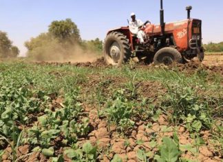 الحرب تدمر الزراعة في السودان: اعتداءات وارتفاع التكاليف الحرب تدمر الزراعة في السودان: اعتداءات وارتفاع التكاليف