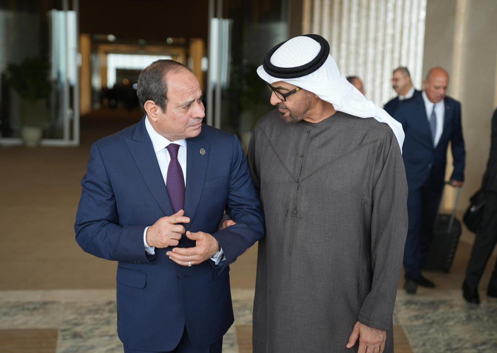 مباحثات بين السيسي وبن زايد بشأن السودان مباحثات بين السيسي وبن زايد بشأن السودان