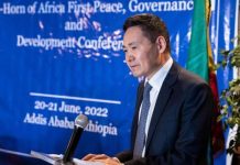 نتائج متواضعة لاستراتيجية الصين في القرن الأفريقي نتائج متواضعة لاستراتيجية الصين في القرن الأفريقي