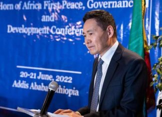 نتائج متواضعة لاستراتيجية الصين في القرن الأفريقي نتائج متواضعة لاستراتيجية الصين في القرن الأفريقي