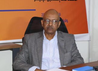 اليونسكو تدعم محاربة تهريب الآثار السودانية اليونسكو تدعم محاربة تهريب الآثار السودانية