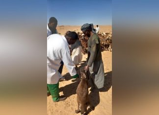 المجلس الأعلى للثروة الحيوانية يواصل برامجه بالشمالية المجلس الأعلى للثروة الحيوانية يواصل برامجه بالشمالية