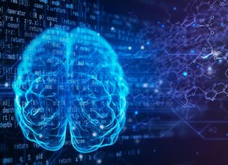 أدمغتنا “تتنبأ بالمستقبل” بشكل لاواع ومستمر أدمغتنا "تتنبأ بالمستقبل" بشكل لاواع ومستمر