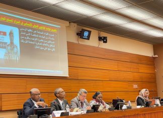 فعالية بجنيف تناقش انتهاكات المليشيا و العنف ضد المرأة فعالية بجنيف تناقش انتهاكات المليشيا و العنف ضد المرأة