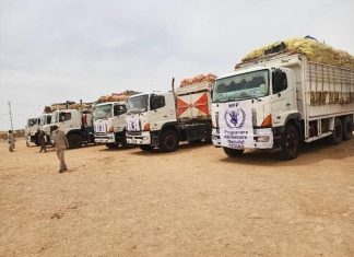 الدعم السريع تنهب شاحنات أممية وتحتجز عاملين اجانب الدعم السريع تنهب شاحنات أممية وتحتجز عاملين اجانب