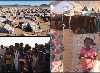 يونيسف: 3.3 ملايين طفل معرضون لخطر سوء التغذية الحاد بالسودان يونيسف: 3.3 ملايين طفل معرضون لخطر سوء التغذية الحاد بالسودان