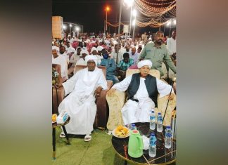 منسق حكومة إقليم دارفور بالشمالية: معركة المالحة قاصمة ظهر للمليشيا منسق حكومة إقليم دارفور بالشمالية: معركة المالحة قاصمة ظهر للمليشيا