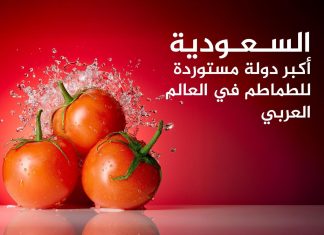 تعرف إلى أكبر منتجي ومصدري الطماطم عربيا.. مصر والمغرب في المقدمة تعرف إلى أكبر منتجي ومصدري الطماطم عربيا.. مصر والمغرب في المقدمة