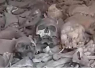 شبكة أطباء السودان تبدأ التحقيق لفك طلاسم جثث الحاويات شبكة أطباء السودان تبدأ التحقيق لفك طلاسم جثث الحاويات