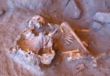 من تافوغالت إلى تكركوري.. أسرار جينية تروي تاريخ البشرية في صحراء شمال إفريقيا من تافوغالت إلى تكركوري.. أسرار جينية تروي تاريخ البشرية في صحراء شمال إفريقيا