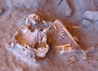 من تافوغالت إلى تكركوري.. أسرار جينية تروي تاريخ البشرية في صحراء شمال إفريقيا من تافوغالت إلى تكركوري.. أسرار جينية تروي تاريخ البشرية في صحراء شمال إفريقيا