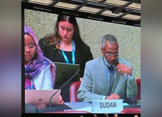 مجلس حقوق الإنسان يعلق على الانتهاكات الجارية في السودان مجلس حقوق الإنسان يعلق على الانتهاكات الجارية في السودان