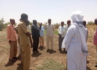 تأهيل كبري الجنازير بمحلية الرهد بشمال كردفان تأهيل كبري الجنازير بمحلية الرهد بشمال كردفان