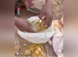 جندي سوداني يعثر على ذهب ويطلق مناشدة عاجلة جندي سوداني يعثر على ذهب ويطلق مناشدة عاجلة