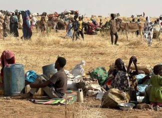 مخيم زمزم للنازحين شبه خالٍ بعد سيطرة الدعم السريع مخيم زمزم للنازحين شبه خالٍ بعد سيطرة الدعم السريع