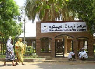 حرب السودان تدمّر مركز أبحاث المايستوما الوحيد في العالم حرب السودان تدمّر مركز أبحاث المايستوما الوحيد في العالم