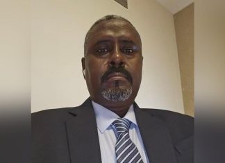 مستشار في الدعم السريع يكشف عن تدمير مسيرات إستراتيجية مستشار في الدعم السريع يكشف عن تدمير مسيرات إستراتيجية