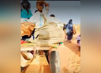 نزوح كبير لمواطني النهود بعد سيطرة الدعم السريع نزوح كبير لمواطني النهود بعد سيطرة الدعم السريع