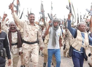 بعد توقف الحرب.. ما مصير قوات درع السودان؟ بعد توقف الحرب.. ما مصير قوات درع السودان؟