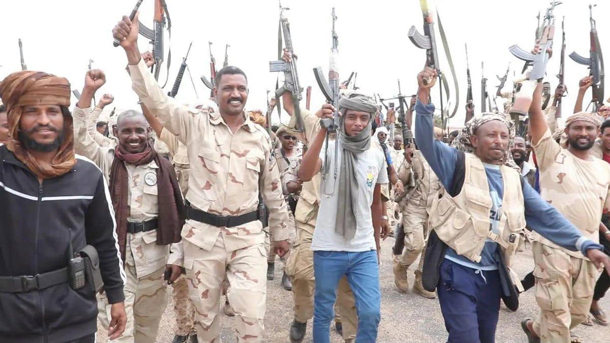 بعد توقف الحرب.. ما مصير قوات درع السودان؟