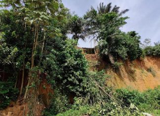 البشر عاشوا في الغابات المطيرة الأفريقية قبل 150 ألف سنة البشر عاشوا في الغابات المطيرة الأفريقية قبل 150 ألف سنة