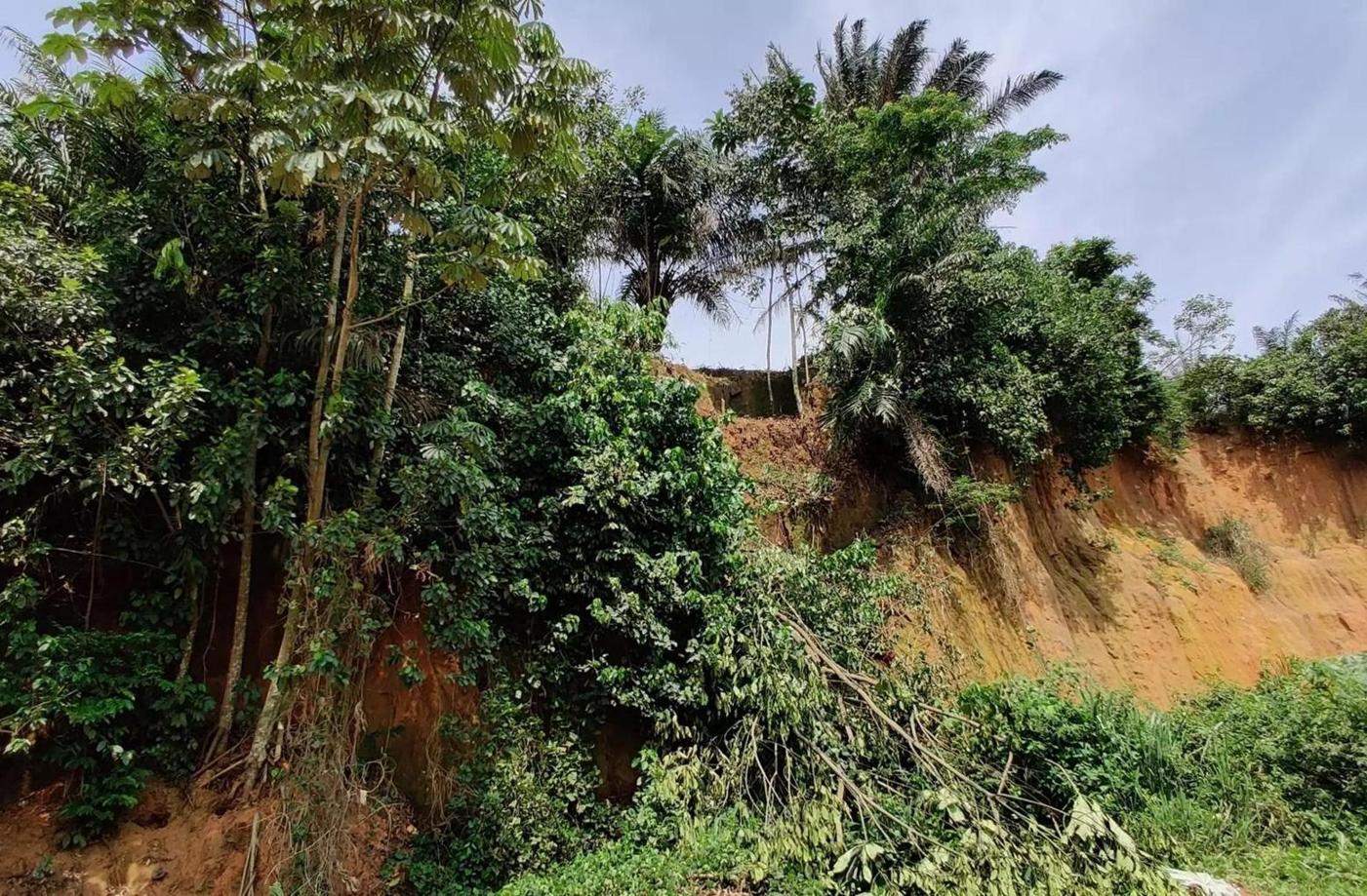 البشر عاشوا في الغابات المطيرة الأفريقية قبل 150 ألف سنة البشر عاشوا في الغابات المطيرة الأفريقية قبل 150 ألف سنة