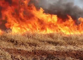 الحرائق الموسمية في سوريا.. متى تنتهي؟ وهل تزيد مستقبلا؟ الحرائق الموسمية في سوريا.. متى تنتهي؟ وهل تزيد مستقبلا؟