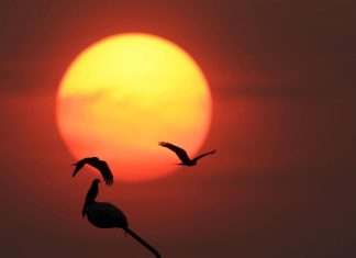 2025 قد يكون الأشد حرارة على مر التاريخ 2025 قد يكون الأشد حرارة على مر التاريخ