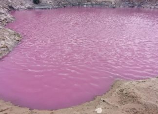 ما سر ظهور وانتشار “البرك الوردية” في البحر الميت؟ ما سر ظهور وانتشار "البرك الوردية" في البحر الميت؟