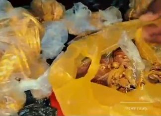 القبض على عناصر من الدعم السريع وذهب مهرب القبض على عناصر من الدعم السريع وذهب مهرب